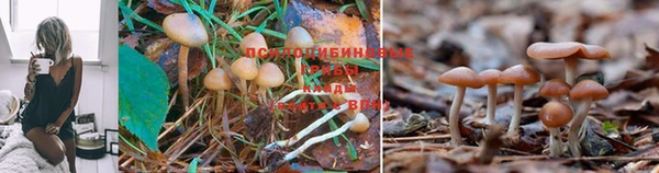 MDMA Бугульма
