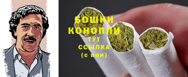 гашик Верея
