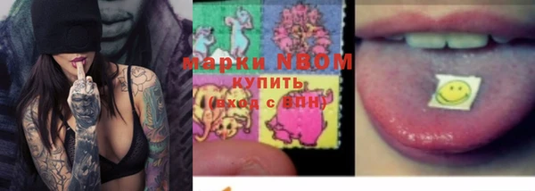 гашик Верея