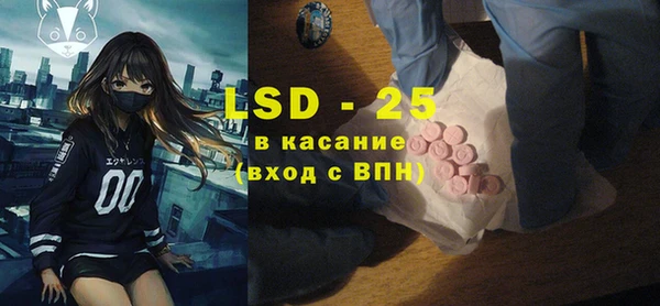гашик Верея