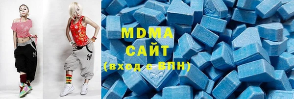 шишки Бородино