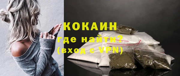 гашик Верея