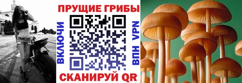 Псилоцибиновые грибы Magic Shrooms  Волоколамск 